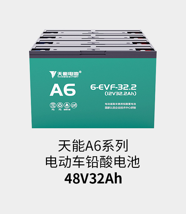 AG尊龙非同凡响电池48v32ah