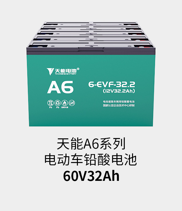 AG尊龙非同凡响电池60v33ah